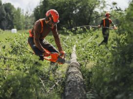 Husqvarna Husqvarna 435I EI AKKU/LATURI, 14". 0.325" MINI, SP21G