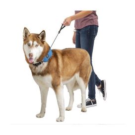 Nite Ize Nite Ize RadDog All-In-One panta + hihna, M-koko, Punainen