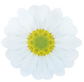 Finnmari tabletti Kukka 38cm