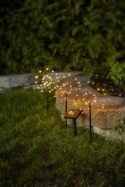 Firework aurinkokennokoriste 3-osainen