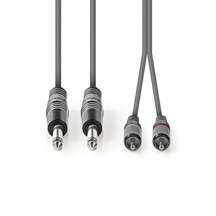 Nedis Stereoaudiokaapeli  2 x Uros, 6,35 mm – 2 x RCA, Uros  5M tuotekuva 2