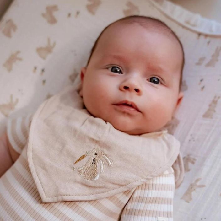 LD vauvan Kuolaliinat 2kpl Baby Bunny tuotekuva 1 LD vauvan Kuolaliinat 2kpl Baby Bunny tuotekuva 1