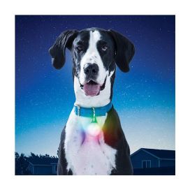 Nite Ize Nite Ize SpotLit XL Ladattava LED-pantavalo, DiscO select