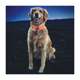 Nite Ize Nite Ize NiteDawg LED -panta, L-koko, oranssi