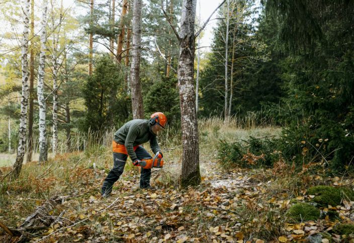 Husqvarna 340i akkusaha, 14&quot;, 3/8&quot; -runko -ilman akkua ja laturia tuotekuva 2