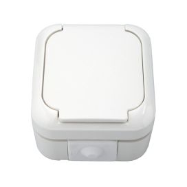 Pistorasia pinta 1-os Kosti