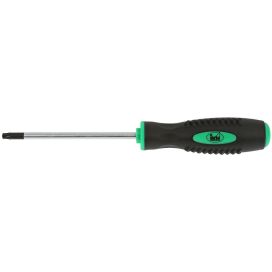 RUUVITALTTA T25X100MM