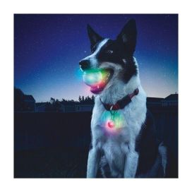 Nite lze GlowStreak LED-pallo + SpotLit -pantavalo