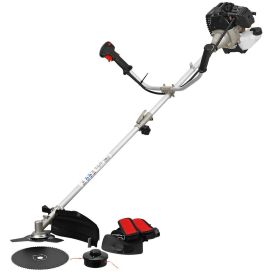 ESPINA RAIVAUSSAHA 2-T 43CC