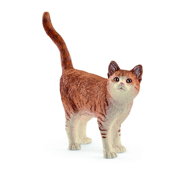 SCHLEISH 13836 KISSA