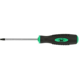 RUUVITALTTA T30X125MM