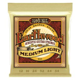 Ernie Ball Earthwood Medium-Light EB-2003