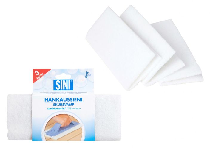 HANKAUSSIENI LAUDEPESURIIIN